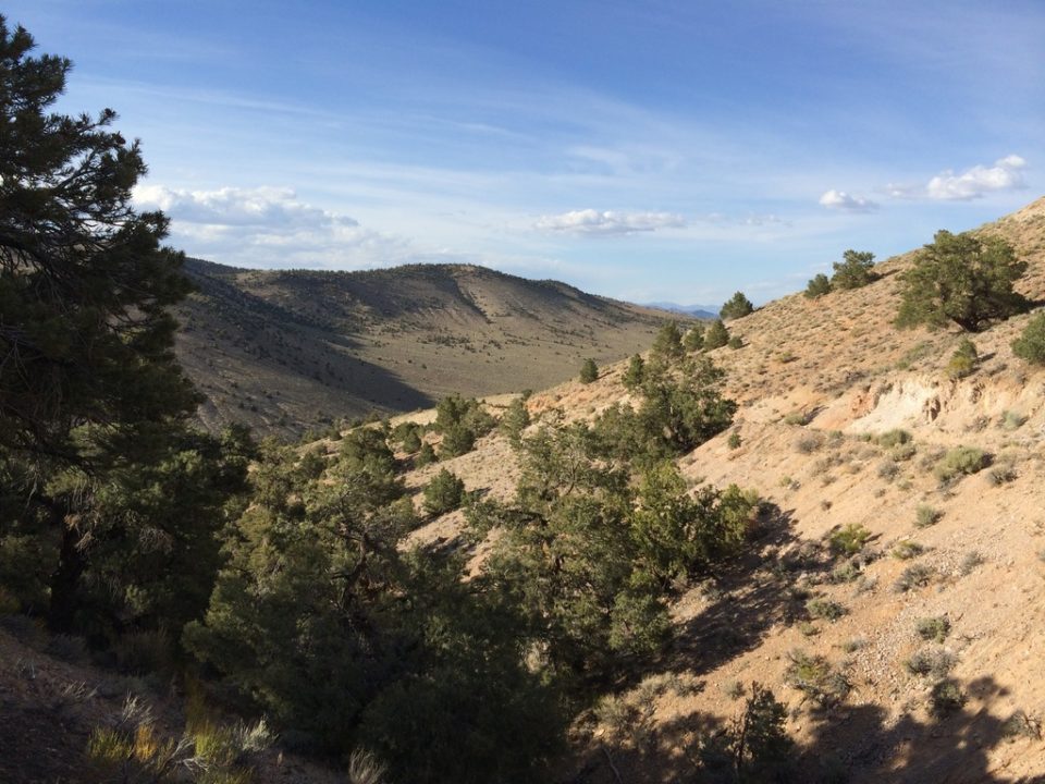 White Mountains Mesa AZ